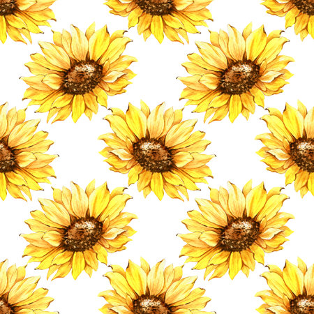 Watercolor Sunflower Background, Sunflower Seamless pattern with Hand Painted Watercolor Sunflowers and Greenery on white backgroundの写真素材