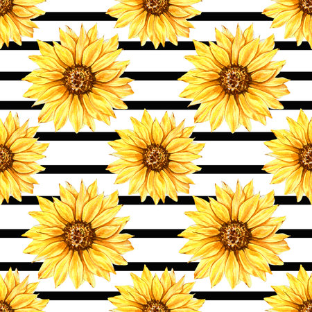 Watercolor Sunflower Background, Sunflower Seamless pattern with Hand Painted Watercolor Sunflowers and Greenery on white backgroundの写真素材