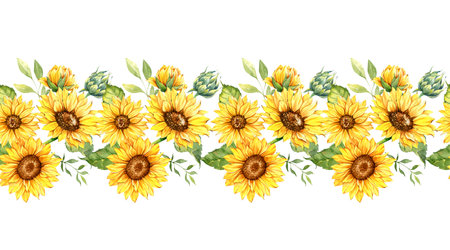 Sunflowers Seamless Border, Watercolor Sunflowers Arrangement, Hand Painted Sunflowers Bouuqet on white backgroundの写真素材