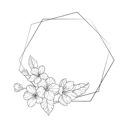 Floral Line Art frame, Sakura Flower Outline Illustration Set. Hand Painted Doodle Flowers. Perfect for wedding invitations, bridal shower and floral greeting cards.のイラスト素材