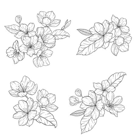 <p>Floral Line Art, Sakura Flower Outline Illustration Set. Hand Painted Doodle Flowers. Perfect for wedding invitations, bridal shower and floral greeting cards. Black and white stencil flowers isolated on white background</p>のイラスト素材