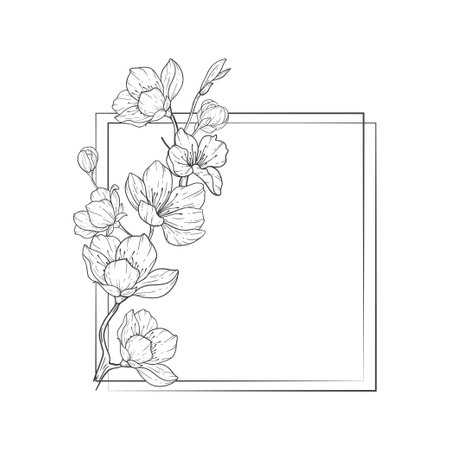 Floral Line Art frame, Sakura Flower Outline Illustration Set. Hand Painted Doodle Flowers. Perfect for wedding invitations, bridal shower and floral greeting cards.のイラスト素材