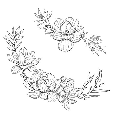 Floral Line art. Manolia Flower Outline. Line Drawing Flowers for floral Coloring Pages, Modern Minimalist Wedding invitationsのイラスト素材