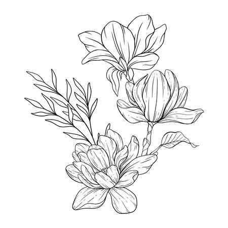 Floral Line art. Manolia Flower Outline. Line Drawing Flowers for floral Coloring Pages, Modern Minimalist Wedding invitationsのイラスト素材