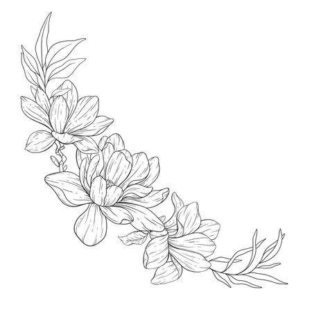 Floral Line art. Manolia Flower Outline. Line Drawing Flowers for floral Coloring Pages, Modern Minimalist Wedding invitationsのイラスト素材