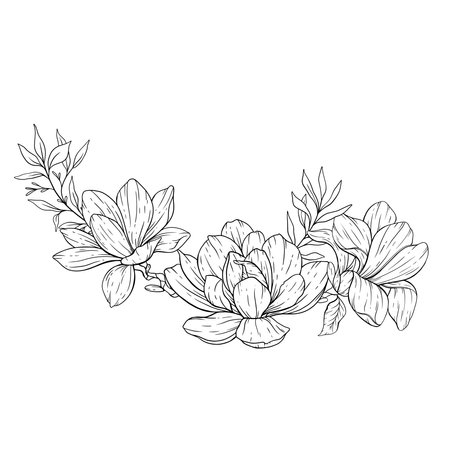 Floral Line art. Manolia Flower Outline. Line Drawing Flowers for floral Coloring Pages, Modern Minimalist Wedding invitationsのイラスト素材