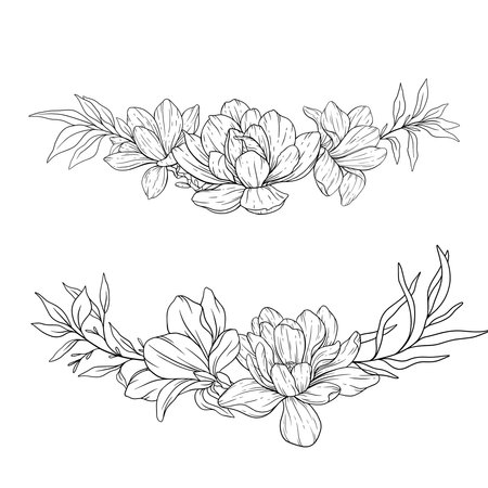 Floral Line art. Manolia Flower Outline. Line Drawing Flowers for floral Coloring Pages, Modern Minimalist Wedding invitationsのイラスト素材