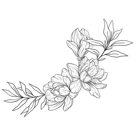 Floral Line art. Manolia Flower Outline. Line Drawing Flowers for floral Coloring Pages, Modern Minimalist Wedding invitationsのイラスト素材