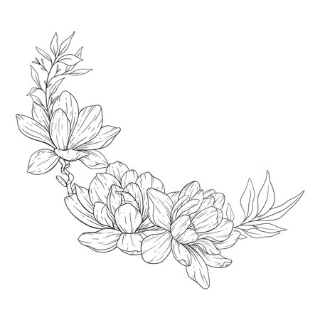 Floral Line art. Manolia Flower Outline. Line Drawing Flowers for floral Coloring Pages, Modern Minimalist Wedding invitationsのイラスト素材