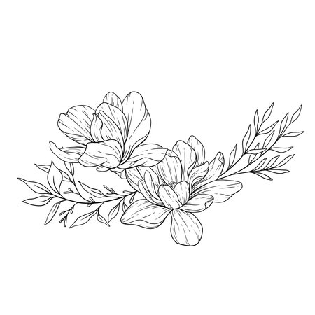 Floral Line art. Manolia Flower Outline. Line Drawing Flowers for floral Coloring Pages, Modern Minimalist Wedding invitationsのイラスト素材