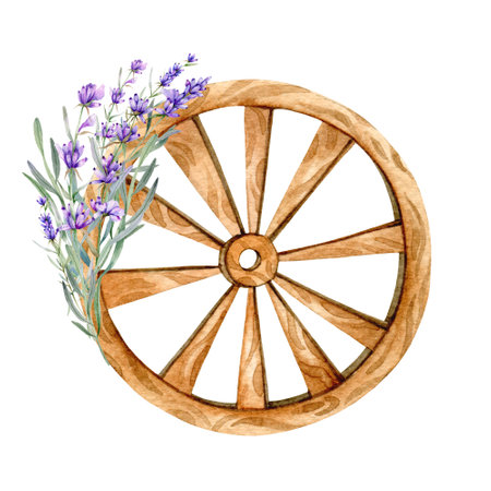 Lavender Watercolor Illustration. Provence Herbs Hand Painted isolated on white background.  Perfect for wedding invitations, bridal shower and  floral greeting cardsの写真素材