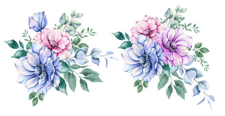 Anemone Flowers Watercolor Illustration. Blue, Pink and Purple Anemones Hand Painted isolated on white background.  Perfect for wedding invitations, bridal shower and  floral greetの写真素材