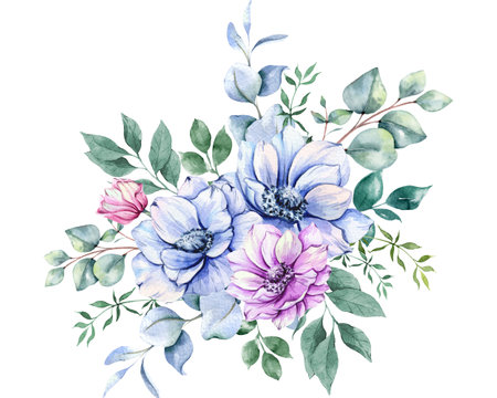 Anemone Flowers Watercolor Illustration. Blue, Pink and Purple Anemones Hand Painted isolated on white background.  Perfect for wedding invitations, bridal shower and  floral greetの写真素材