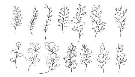 Greenery Line Art, Fine Line Leaves  Hand Drawn Illustration. Botanical Coloring Pageのイラスト素材