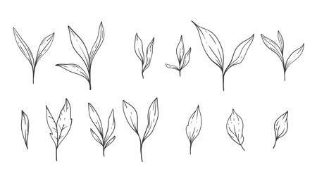 Greenery Line Art, Fine Line Leaves  Hand Drawn Illustration. Botanical Coloring Pageのイラスト素材