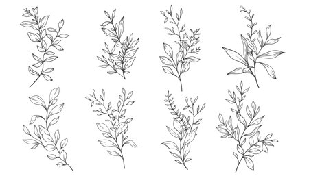Greenery Line Art, Fine Line Leaves  Hand Drawn Illustration. Botanical Coloring Pageのイラスト素材