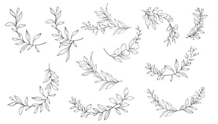 Greenery Line Art, Fine Line Leaves  Hand Drawn Illustration. Botanical Coloring Pageのイラスト素材