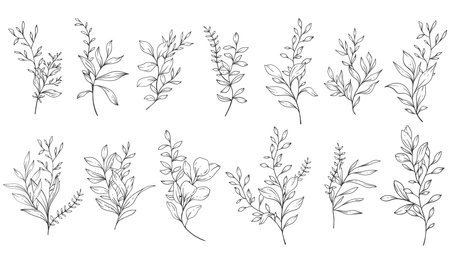 Greenery Line Art, Fine Line Leaves  Hand Drawn Illustration. Botanical Coloring Pageのイラスト素材