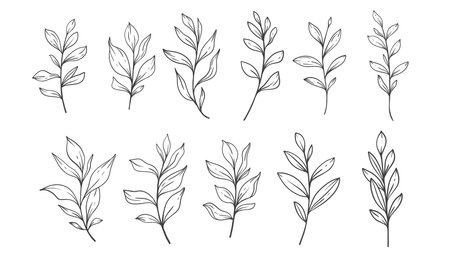 Greenery Line Art, Fine Line Leaves  Hand Drawn Illustration. Botanical Coloring Pageのイラスト素材
