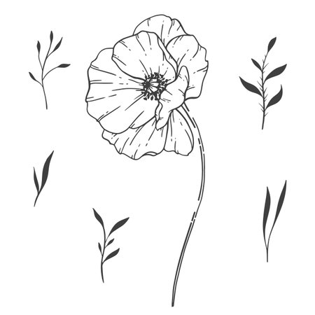 Poppy Flower Line Art, Fine Line Poppy Bouquets Hand Drawn Illustration. Coloring Page with Flowers.のイラスト素材