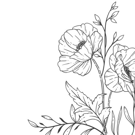 Poppy Flower Line Art, Fine Line Poppy Bouquets Hand Drawn Illustration. Coloring Page with Flowers.のイラスト素材