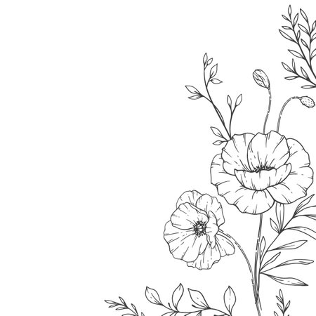 Poppy Flower Line Art, Fine Line Poppy Bouquets Hand Drawn Illustration. Coloring Page with Flowers.のイラスト素材