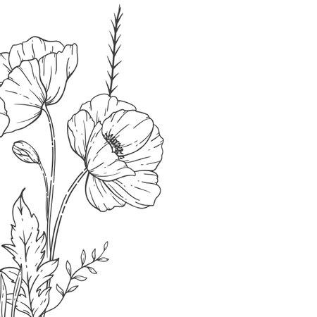 Poppy Flower Line Art, Fine Line Poppy Bouquets Hand Drawn Illustration. Coloring Page with Flowers.のイラスト素材