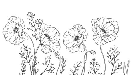 Poppy Flower Line Art, Fine Line Poppy Bouquets Hand Drawn Illustration. Coloring Page with Flowers.のイラスト素材