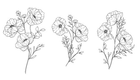 Poppy Flower Line Art, Fine Line Poppy Bouquets Hand Drawn Illustration. Coloring Page with Flowers.のイラスト素材