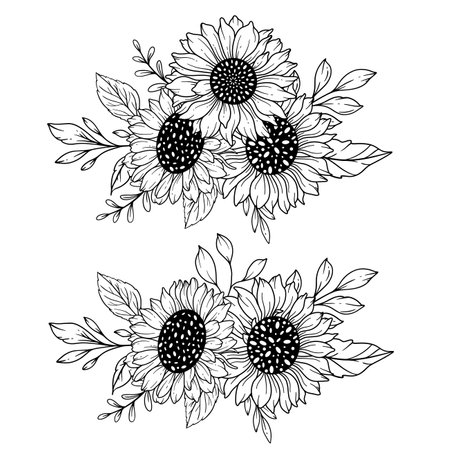 Sunflowers Line Art, Fine Line Sunflower Bouquets Hand Drawn Illustration. Coloring Page with SunFlowers.のイラスト素材