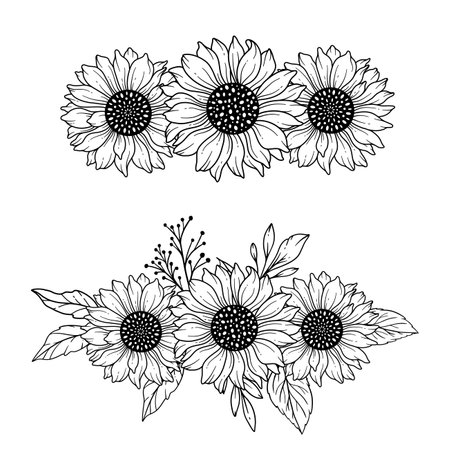 Sunflowers Line Art, Fine Line Sunflower Bouquets Hand Drawn Illustration. Coloring Page with SunFlowers.のイラスト素材
