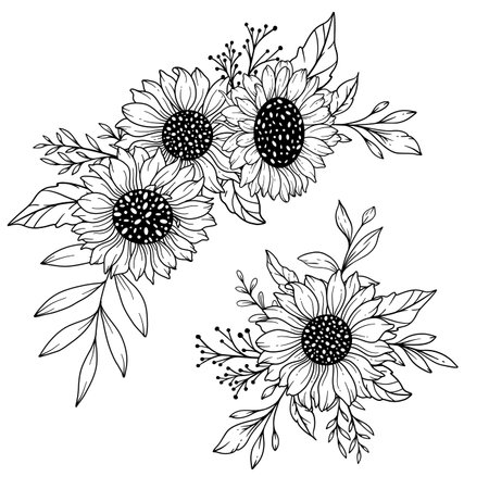 Sunflowers Line Art, Fine Line Sunflower Bouquets Hand Drawn Illustration. Coloring Page with SunFlowers.のイラスト素材