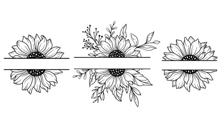 Half Sunflower. Sunflower Frames Line Art, Fine Line Sunflower Frames Hand Drawn Illustration. Coloring Page with SunFlowers.のイラスト素材