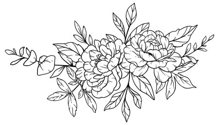 Peony  Line Art, Fine Line Peony Bouquets Hand Drawn Illustration. Coloring Page with Peony Flowersのイラスト素材