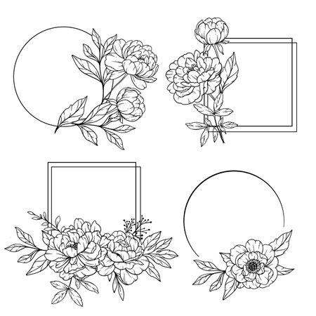 Peony Frame Line Art, Outline Floral Frame Hand Drawn Illustration. Coloring Page with Peony Flowers.のイラスト素材