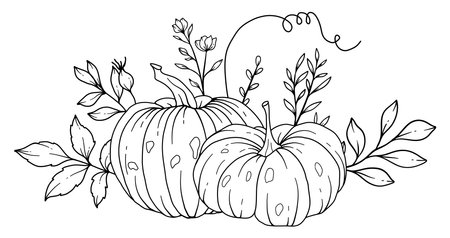 Pumpkins Line Art Illustration, Outline Pumpkin arrangement Hand Drawn Illustration. Coloring Page with Pumpkins.  Thanksgiving Pumpkins set. Thanksgiving Pumpkins set isolated onのイラスト素材