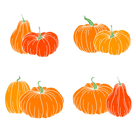 Pumpkins Flat Illustration, Pumpkin arrangement Hand Drawn Illustration.  Thanksgiving Pumpkins set. Thanksgiving Pumpkins set isolated on whiteのイラスト素材