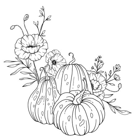 Pumpkins with Wildflowers Line Art Illustration, Outline Pumpkin arrangement Hand Drawn Illustration. Coloring Page with Pumpkins.  Thanksgiving Pumpkins and Poppy set. Thanksgivinのイラスト素材