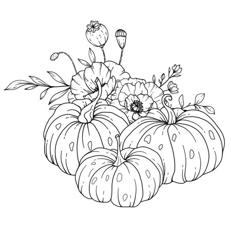 Pumpkins with Wildflowers Line Art Illustration, Outline Pumpkin arrangement Hand Drawn Illustration. Coloring Page with Pumpkins.  Thanksgiving Pumpkins and Poppy set. Thanksgivinのイラスト素材
