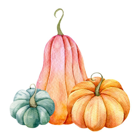 Autumn Thanksgiving Watercolor Pumpkins arrangement on white background. Colorful Pumpkins Watercolor Illustration hand Paintedの写真素材