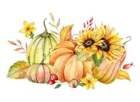 Autumn Thanksgiving Watercolor Pumpkins with leaves and harvest on white background. Fall floral arrangement with Pumpkins, Berries and Leavesの写真素材