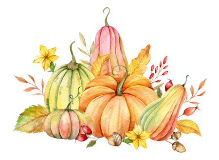 Autumn Thanksgiving Watercolor Pumpkins with leaves and harvest on white background. Fall floral arrangement with Pumpkins, Berries and Leavesの写真素材