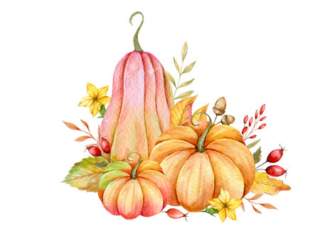 Autumn Thanksgiving Watercolor Pumpkins with leaves and harvest on white background. Fall floral arrangement with Pumpkins, Berries and Leavesの写真素材