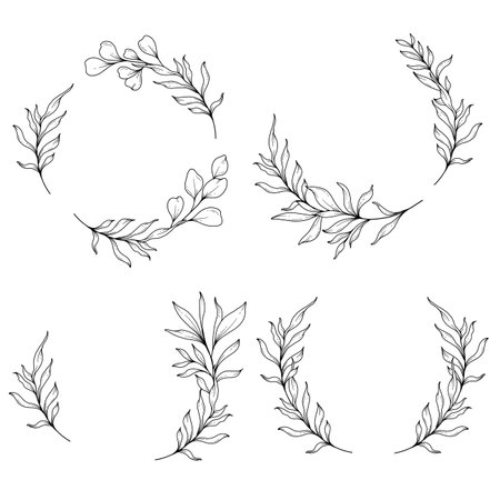 Floral Frames Line Art, Fine Line Eucalyptus Frames Hand Drawn Illustration. Eucalyptus Outline Frame.のイラスト素材