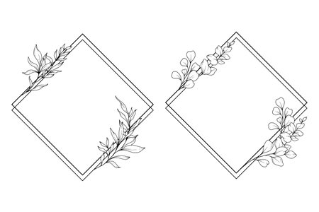 Floral Frames Line Art, Fine Line Eucalyptus Frames Hand Drawn Illustration. Eucalyptus Outline Frame.のイラスト素材
