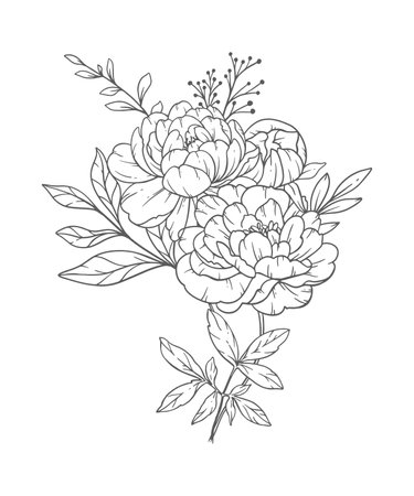 Peony Line Art. Peony outline Illustration. November Birth Month Flower. Peony outline isolated on white. Hand painted line art botanical illustrationのイラスト素材