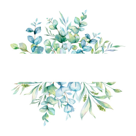Eucalyptus Watercolor Frame. Eucalyptus Greenery Frame Hand Painted isolated on white background.  Perfect for wedding invitations, floral labels, bridal shower and  floral greetinの写真素材