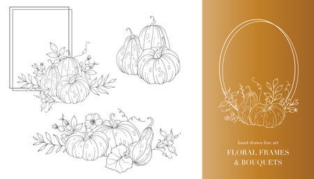 Pumpkins Line Art Illustration, Outline Pumpkin arrangement Hand Drawn Illustration. Coloring Page with Pumpkins.  Thanksgiving Pumpkins Frame. Thanksgiving Pumpkins setのイラスト素材