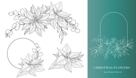 Poinsettia Line Art. Christmas Floral Frames and Bouquets Line Art. Fine Line Christmas Frame Hand Drawn Illustration. Hand Drawn Outline Poinsettia. ChristmasColoring Page. Poinseのイラスト素材