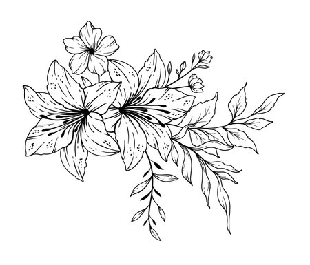 Wildflowers Line Drawing. Black and white Floral Bouquets. Flower Coloring Page. Floral Line Art. Fine Line Wildflowers illustration. Hand Drawn flowers. Botanical Coloring.のイラスト素材